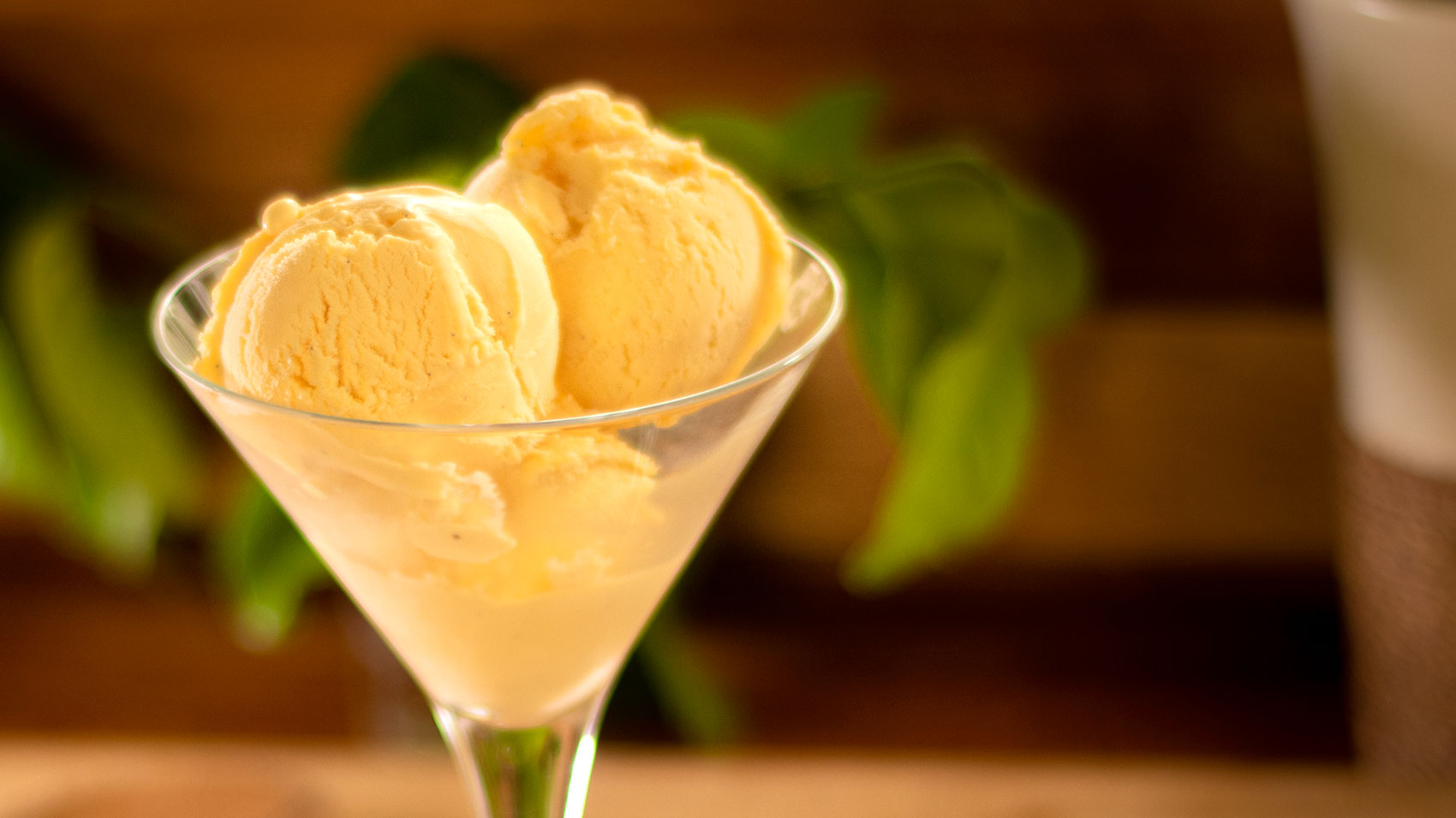 Ultimate vanilla ice cream recipe