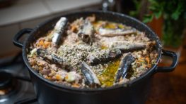 Healthy dog food